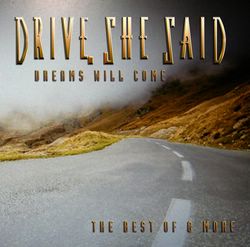 dreamswillcome_driveshesaid