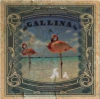 gallina_gallina