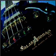 andasueltoelrnr_salamandra