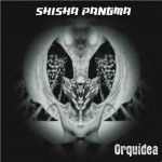 orquidea_shishapangma