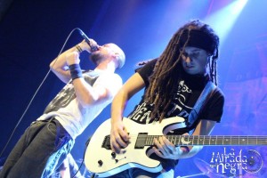 131115_risetofall2