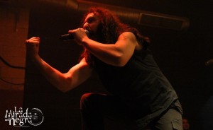 131116_vhaldemar4
