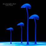 thepineapplethieff_buildaworld