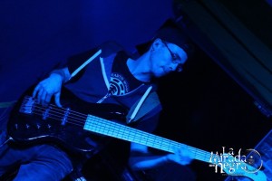 RED ROOSTER REBELLION