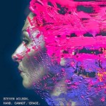 stevenwilson_handcannoterase