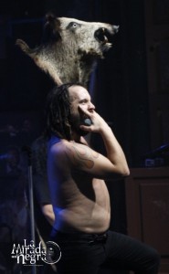 PORCO BRAVO
