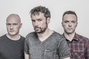 thepineapplethief
