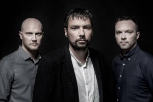 thepineapplethief