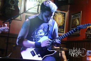 161111_ciconia11