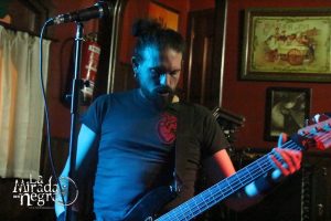 161111_ciconia12