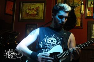 161111_ciconia2