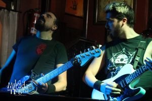 161111_ciconia3