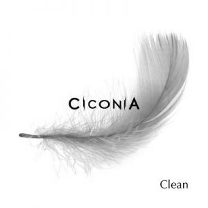 ciconia
