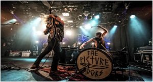 thepicturebooks