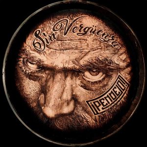 pendejo_sin-verguenza