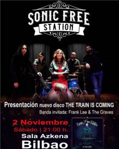 sonicfreestationconcierto