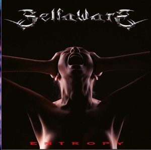 selfware_entropy